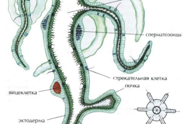 Кракен почему пользователь не найден